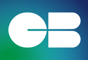 Logo paiement 4